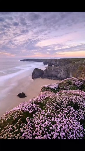 Unique Purple Name Ideas for Purple Lovers