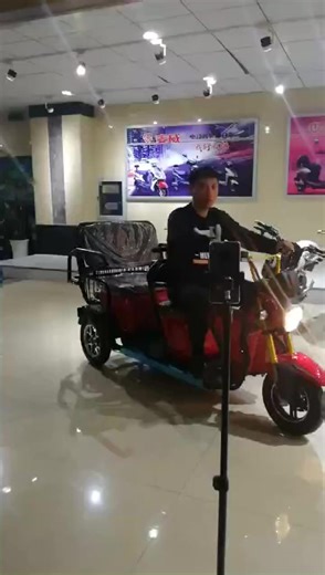 中古 大人用 二人乗り 三輪電動バイク トライク 60V EEC認証取得済み