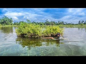 Tilapia Spearfishing: A Delicious Cooking Recipe