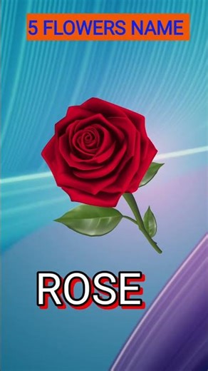 Five Flowers Name for Kids | 5 Flowers Name with Pictures | Learning Flowers for Children#flowers