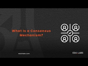 What Is a Consensus Mechanism? 🔗