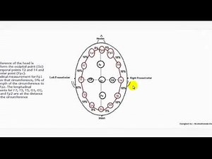 Understanding EEG Part 4, 10-20 electrode placement system used in electroencephalography (EEG) test