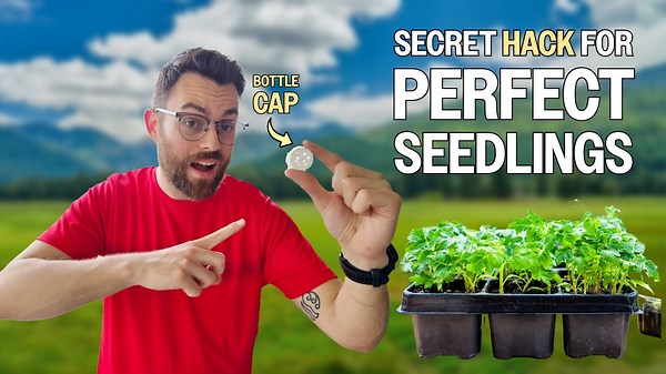 10 Free Garden Hacks That Actually Work