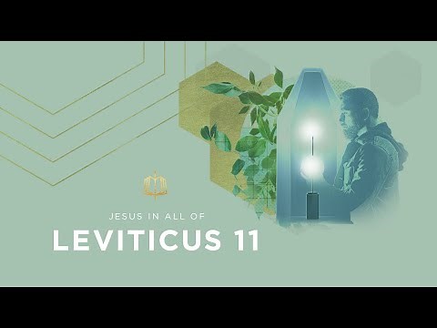 Leviticus 11 | Clean and Unclean Animals | Bible Study