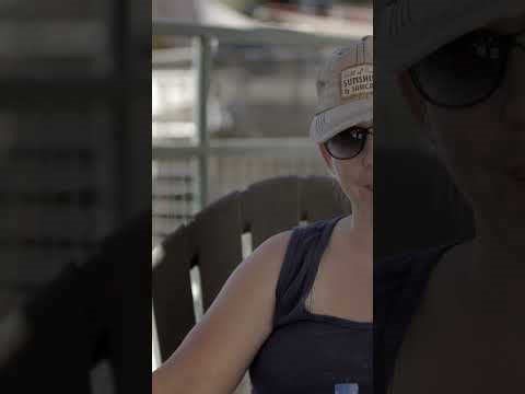 Anatolian vs Pyrenees: A vet's perspective