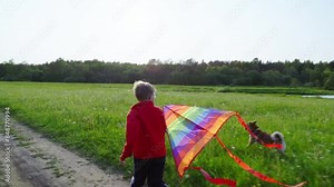 Boy flying a kite in nature