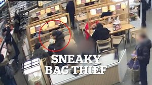 Thief steals bag from an unsuspecting customer at St Pancras