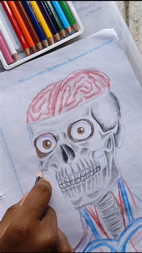 Inside The Human Face 🧠⚡ Anatomy to Realistic Portrait #art