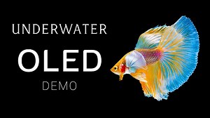 【8KHDR 海洋的色彩】 水下 OLED 演示 8K HDR_哔哩哔哩_bilibili