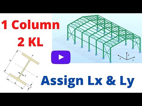 One Column Two Effective Length : Assign Lx and Ly