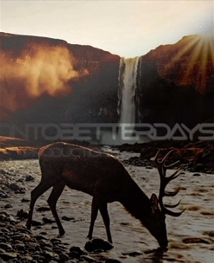 Soul Thirst: Finding Hope in God