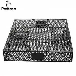 [Hot Item] Humane Multi Catch Mouse Rat Squirrel Cage Trap for Safe Animal Control