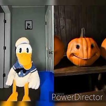 Donald Ducc Screams and Disappears Compilation