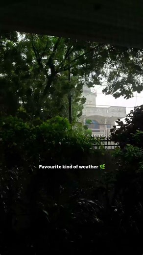 Favourite kind of weather strong winds heavy rain and thoughts that finally slow down #youtubeshorts