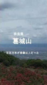 【関西屈指の春絶景！葛城山“一目百万本”のツツジを見に行ってきた】#葛城山 #ツツジ #登山 #奈良観光 #関西登山 #登山初心者 #ハイキング #絶景 #登山好き #山登り #奈良 #shorts