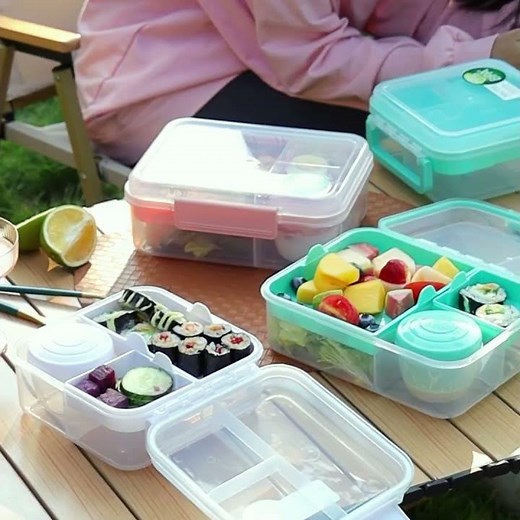 Portable Bento Lunch Container Box with Handle for Work Picnic Travel