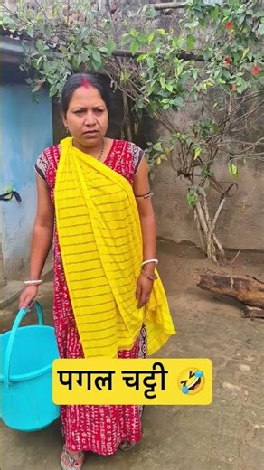 Comedy videos 😂😂 #comedy #funny #shorts #cat