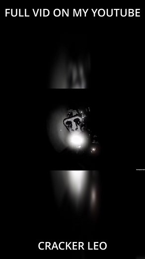 cracker leo på TikTok