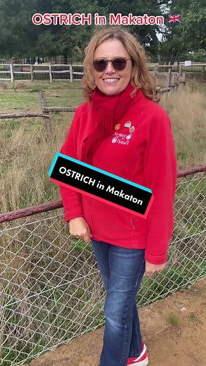 Singing Hands Makaton Tutors on TikTok