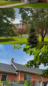 POV: You’re visiting #ubishops in the summer ☀️🌳 #lifeatbu #BUtiful #HiddenGem Looking to tour the campus? Book using the link below! https://www.ubishops.ca/future-students/campus-tours-events/book-a-campus-tour/ | Bishop's University