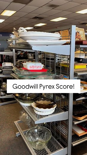 3.3K views · 1.5K reactions | Goodwill Pyrex SCORE! Butterprint and Gooseberry just sitting on the end cap waiting for me! What’s your favorite vintage Pyrex pattern? Let’s chat about in the comments! #pyrexgooseberry #pyrexbutterprint #goodwillscore #goodwillfinds #goodwillfind #goodwillstyle #goodwilltreasures #goodwillbins #goodwilloutlet #pyrexcollector #pyrexvision #pyrexobsessed #pyrexlove #pyrexlover | Mid Mod Marion | Facebook