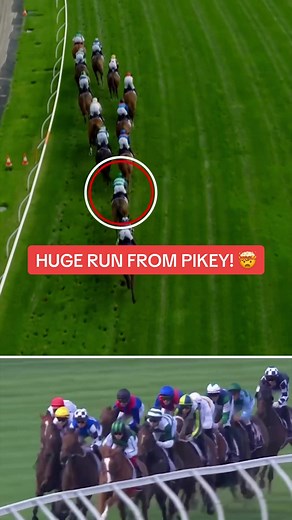 Zakouma & Pikey's Huge Horse Racing Run!