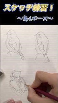スケッチ練習！ #上達 #drawing #新しい挑戦 #大人初心者