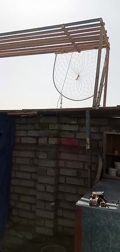 Exploring a Unique Outdoor Spider Web Design