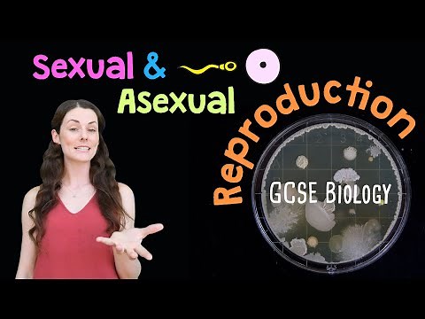 SEXUAL AND ASEXUAL REPRODUCTION GCSE Biology 9-1 | Combined (Revision & Qs)