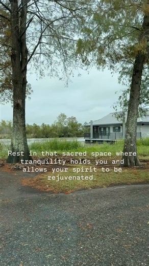 Bayou Segnette State Park is a beautiful destination located just outside of New Orleans, Louisiana. It’s a great spot for outdoor enthusiasts and families looking to enjoy the natural beauty of the bayou. They have cabins on the water, camping & trails 🎄🎄🎄🎄🎄 Features of Bayou Segnette State Park: 1. Camping: ￼ The park offers campsites for tents and RVs, equipped with water and electricity. There are also primitive camping options available for those looking for a more rustic experience. 2