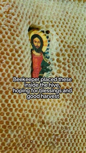 The Strange Behavior of Bees Around Christian Icons in Greece #bee #honeycomb #mystery