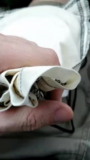 white ball python #blueeyes #whitesnake #reptiles #animals #cuteanimails #pets #snakefacts #AnimalFacts | Venomman