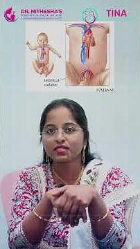 Doppler Scan in Pregnancy: Why It's Important | Dr. Nithesha Tina