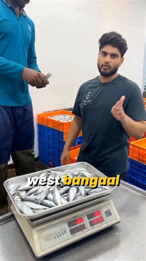 Himanshu Gupta on Instagram: "🐟Frozen Fish Exports from India #globaltrade #fishcurry #fishinglife #viralreels #explorepage"