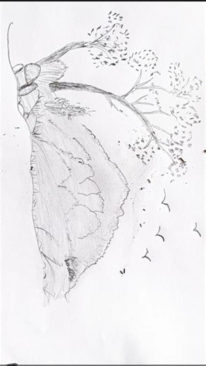 “Peaceful Mountain Sketch ✏️✨ | Relaxing Nature Drawing #shorts”