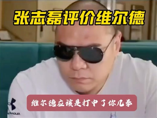 张志磊何不考虑二战维尔德