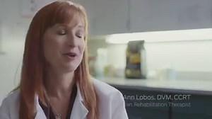 13K views · 642 reactions | Osteoarthritis is a condition that affects 1 in 5 dogs. For your patients with mobility issues, consider prescribing JM Joint Mobility® Canine Formula. It’s formulated with high levels of omega-3 fatty acids to support joint health and reduce inflammation. Watch to learn more about JM and be sure to let your clients know we’re offering a $15-OFF coupon today. | Purina Pro Plan Veterinary Diets | Facebook