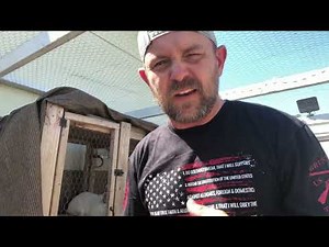 What's the best housing for your rabbits?