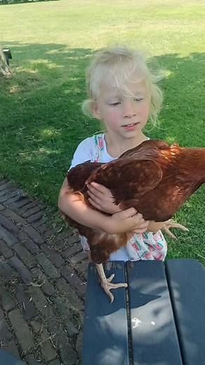 DiagnoseDan on Reels