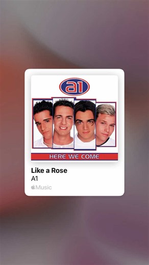 Like A Rose — Full Song Lyrics and Singalong