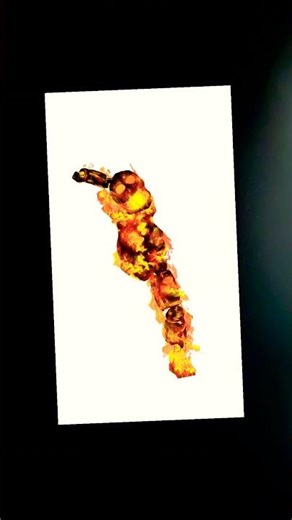 f. springtrap evolation