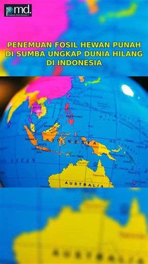 Pomodo ID on Instagram: "🌍Just in under science: Peneliti asing dari Zoological Society of London menemukan fosil berbagai hewan punah di pulau Sumba, bagian dari provinsi Nusa Tenggara Timur, Indonesia. Hewan-hewan yang ditemukan termasuk gajah mini, tikus, kadal raksasa, dan komodo yang kini sangat langka.. Selengkapnya baca di: https://www.pomodo.id/news/85445/penemuan-fosil-hewan-punah-di-sumba-ungkap-dunia-hilang-di Daftar di learnrithm.com sekarang juga untuk pengalaman belajar online den