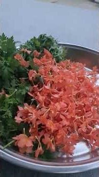 flowers slow motion video