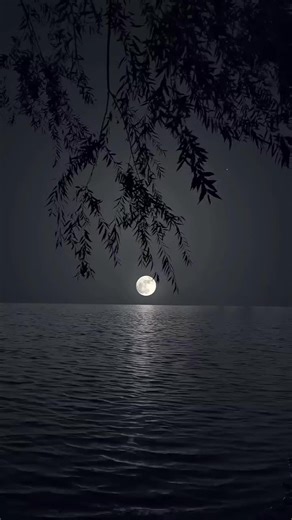 poros on fire 🔥🔥🔥 (@paros.on.fire)’s videos with original sound - 𝑰𝒕𝒛__𝑴𝒆__😇