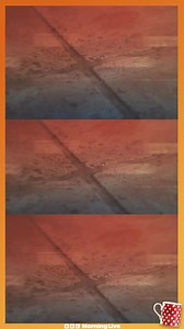 27K views · 81 reactions | Can Nancy Birtwhistle sort your floor out? There’s no GROUT about it! Here’s her eco-friendly cream cleaner recipe to clean tile grout, stone, slate, granite and even car doors so your house looks great for the bank holiday weekend! All you need is 100g of bicarbonate of soda, 30mls glycerin and 10mls of eco washing up liquid. It’s only 3 days until Morning Live is back! Catch us on BBC iPlayer before then! | BBC Morning Live | Facebook