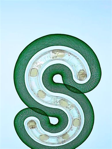 Endlessly Satisfying Spirograph Art Videos