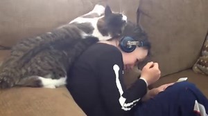 298K views · 2.9K reactions | There is no question that this cat loves this boy. | Animal Lovers | Facebook