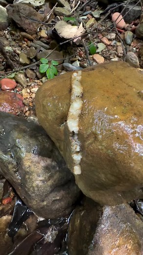 Gold Prospecting 2026: Beginner's Guide