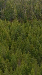 51 reactions | Every tree starts with a seed. Every movement starts...