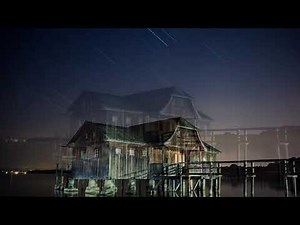 8 Hours Loons Calling With Rain & Swamp Sounds ~ Loon Calls For Relaxing; *NO MUSIC*